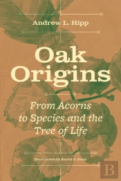 Oak Origins
