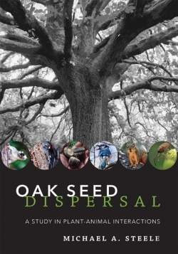 Bertrand.pt - Oak Seed Dispersal