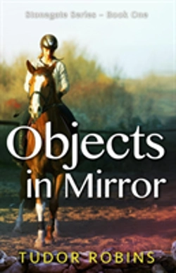 Bertrand.pt - Objects In Mirror