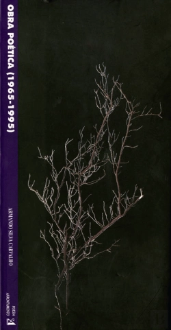 Bertrand.pt - Obra Poética 1965-1995
