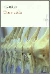 Obra Vista