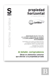 Obras En Elementos Comunes Que Afectan A La Propiedad Privada