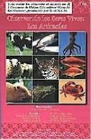 Observando Los Seres Vivos: Los Animales