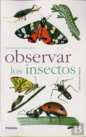 Observar Los Insectos