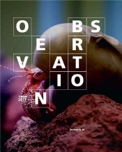 Observation ; Le Consortium 1999-2017