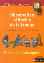 Observation Reflechie De La Langue