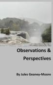 Observations And Perspectives