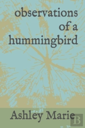 Observations Of A Hummingbird