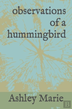 Bertrand.pt - Observations Of A Hummingbird