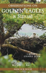 Observations Of Golden Eagles In Scotland