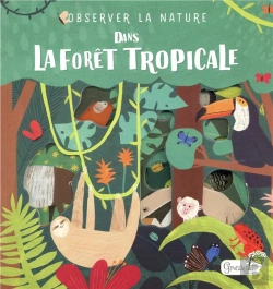 Bertrand.pt - Observer La Nature ; Dans La Forêt Tropicale