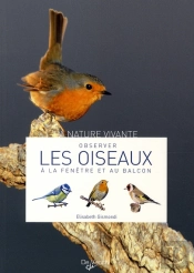 Observer Les Oiseaux À La Fenêtre Et Au Balcon