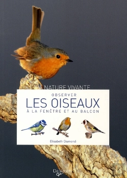 Bertrand.pt - Observer Les Oiseaux À La Fenêtre Et Au Balcon
