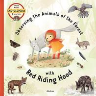 Observing The Animals Of The Forest With Little Red Riding Hood
