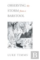 Observing The Storm From A Barstool
