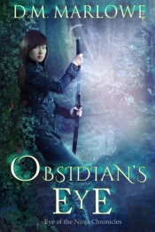 Obsidian'S Eye
