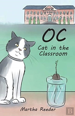 Bertrand.pt - Oc: Cat In The Classroom