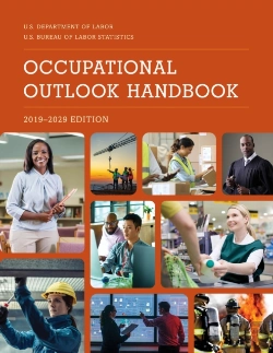 Bertrand.pt - Occupational Outlook Handbook, 2019-2029