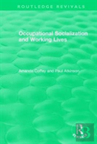 Occupational Socialization And Working Lives (1994)