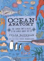 Ocean Anatomy