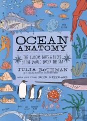 Ocean Anatomy