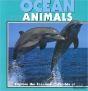 Ocean Animals