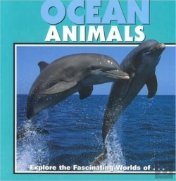 Bertrand.pt - Ocean Animals