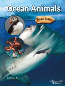 Bertrand.pt - Ocean Animals