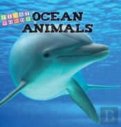 Ocean Animals