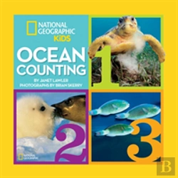 Bertrand.pt - Ocean Counting