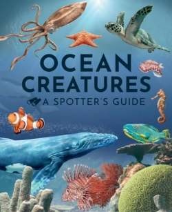 Bertrand.pt - Ocean Creatures: A Spotter'S Guide