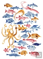 Ocean Dwellers Notecard Box