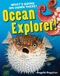 Bertrand.pt - Ocean Explorer!