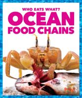 Ocean Food Chains