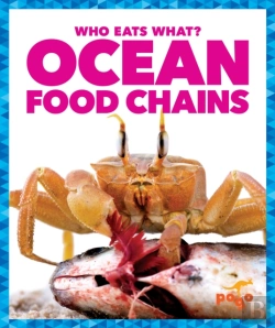 Bertrand.pt - Ocean Food Chains