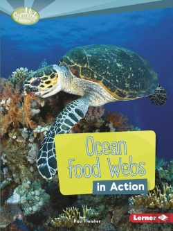 Bertrand.pt - Ocean Food Webs In Action