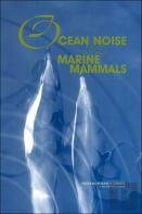 Ocean Noise And Marine Mammals