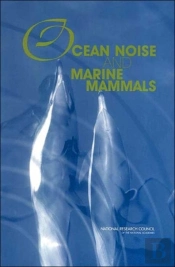 Ocean Noise And Marine Mammals