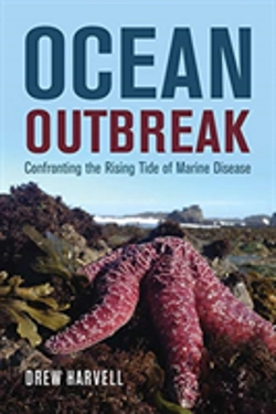 Bertrand.pt - Ocean Outbreak