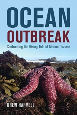 Bertrand.pt - Ocean Outbreak