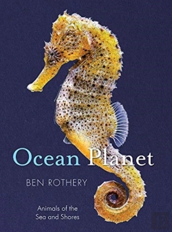 Bertrand.pt - Ocean Planet