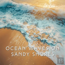 Bertrand.pt - Ocean Waves On Sandy Shores