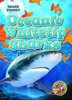 Oceanic Whitetip Sharks