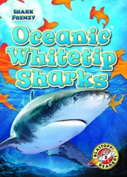 Bertrand.pt - Oceanic Whitetip Sharks