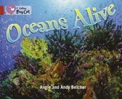 Bertrand.pt - Oceans Alive