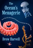 Ocean'S Menagerie