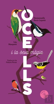 Ocells