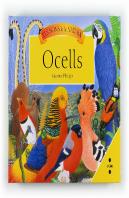 Ocells