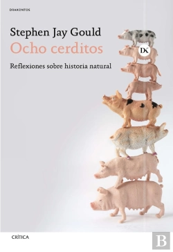 Bertrand.pt - Ocho Cerditos