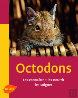 Bertrand.pt - Octodons ; Les Connaitre, Les Nourrir